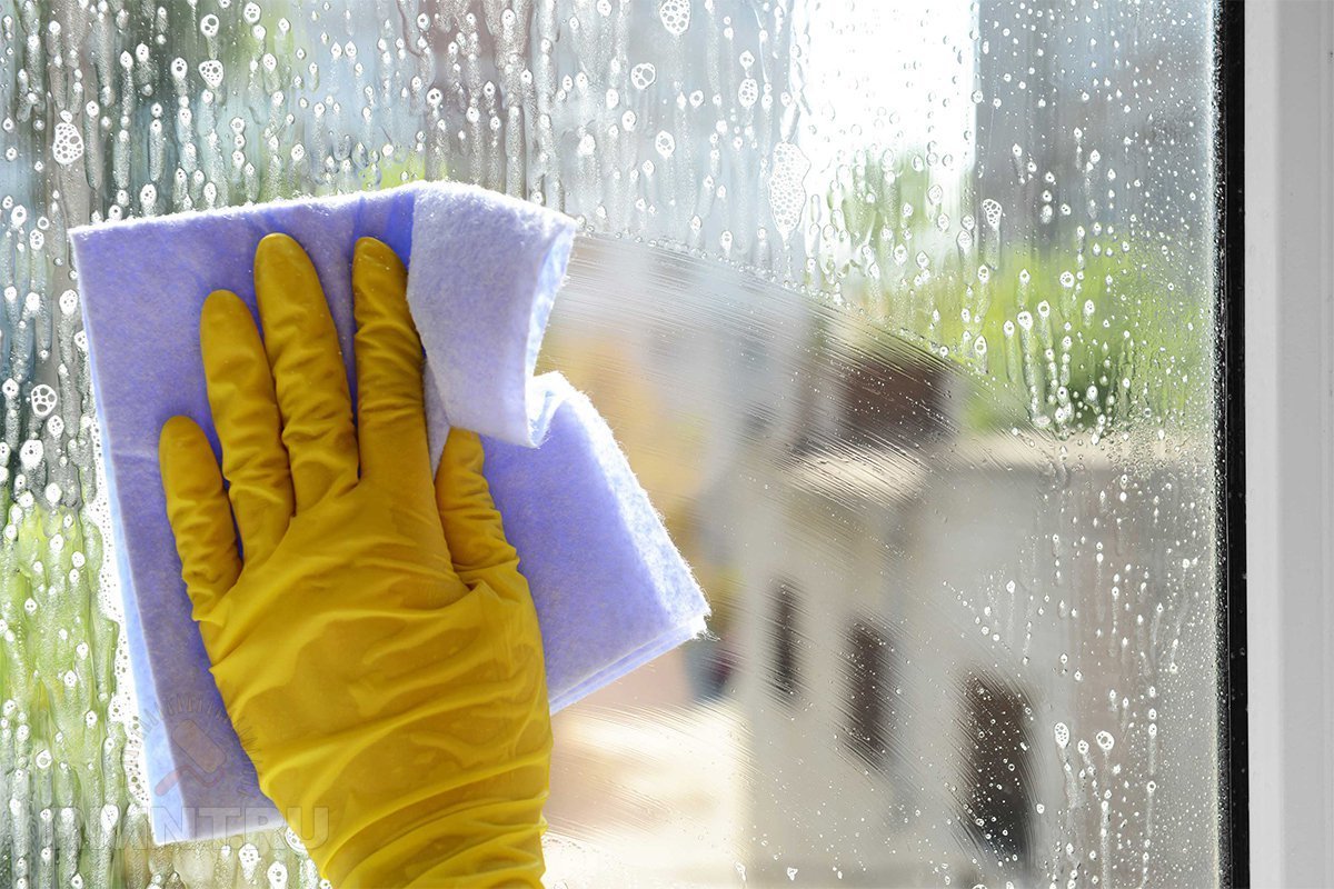 Bring cleanliness and freshness to your home with NinjaOnes window cleaning services!